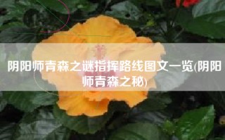 阴阳师青森之谜指挥路线图文一览(阴阳师青森之秘)