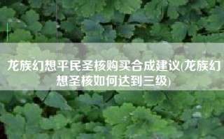 龙族幻想平民圣核购买合成建议(龙族幻想圣核如何达到三级)