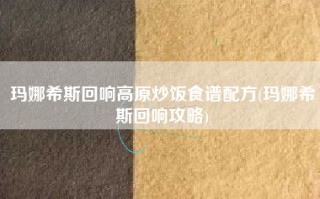 玛娜希斯回响高原炒饭食谱配方(玛娜希斯回响攻略)