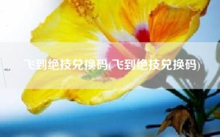 飞到绝技兑换码(飞到绝技兑换码)