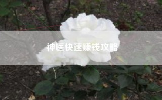 神医快速赚钱攻略