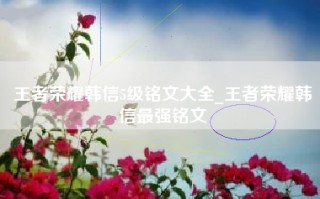 王者荣耀韩信5级铭文大全_王者荣耀韩信最强铭文