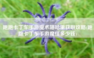 跑跑卡丁车手游魔术喵哈里获取攻略(跑跑卡丁车手游魔怪多少钱)