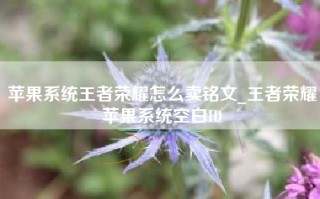 苹果系统王者荣耀怎么卖铭文_王者荣耀苹果系统空白ID