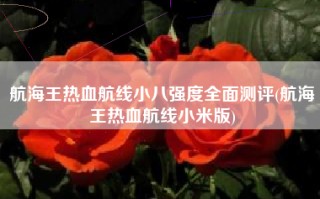 航海王热血航线小八强度全面测评(航海王热血航线小米版)