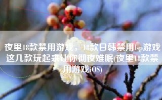 夜里18款禁用游戏，18款日韩禁用lsp游戏这几款玩起来让你彻夜难眠(夜里18款禁用游戏iOS)