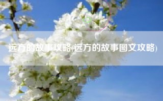 远方的故事攻略(远方的故事图文攻略)
