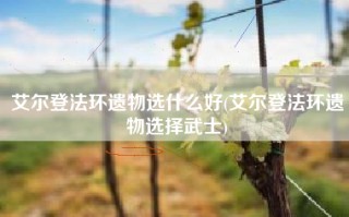 艾尔登法环遗物选什么好(艾尔登法环遗物选择武士)