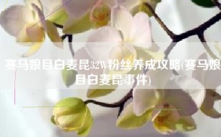 赛马娘目白麦昆32W粉丝养成攻略(赛马娘目白麦昆事件)