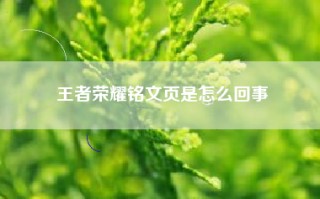 王者荣耀铭文页是怎么回事