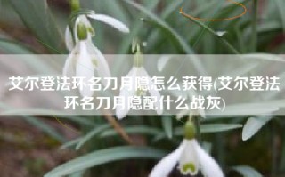 艾尔登法环名刀月隐怎么获得(艾尔登法环名刀月隐配什么战灰)