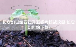 长安幻世绘四钱升五钱考核战攻略(长安幻世绘下载)