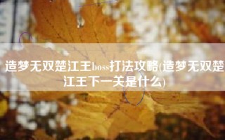 造梦无双楚江王boss打法攻略(造梦无双楚江王下一关是什么)