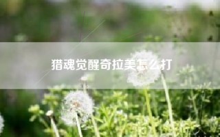 猎魂觉醒奇拉美怎么打