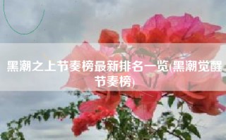 黑潮之上节奏榜最新排名一览(黑潮觉醒节奏榜)