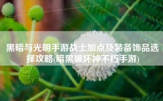 黑暗与光明手游战士加点及装备饰品选择攻略(暗黑破坏神不朽手游)