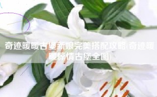 奇迹暖暖古堡新娘完美搭配攻略(奇迹暖暖惊情古堡全图)