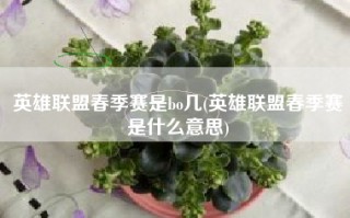 英雄联盟春季赛是bo几(英雄联盟春季赛是什么意思)