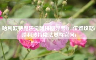 哈利波特魔法觉醒拼图寻宝11.4位置攻略(哈利波特魔法觉醒官网)