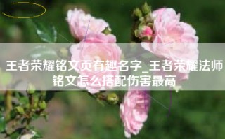 王者荣耀铭文页有趣名字_王者荣耀法师铭文怎么搭配伤害最高