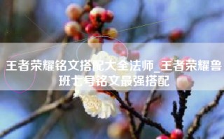 王者荣耀铭文搭配大全法师_王者荣耀鲁班七号铭文最强搭配