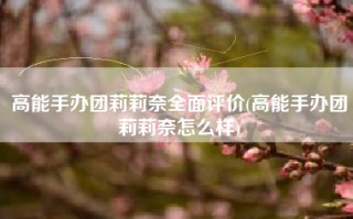 高能手办团莉莉奈全面评价(高能手办团莉莉奈怎么样)