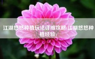 江湖悠悠种植玩法详细攻略(江湖悠悠种植经验)