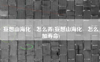 妄想山海化炁怎么弄(妄想山海化炁怎么加寿命)