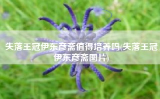 失落王冠伊东彦斋值得培养吗(失落王冠伊东彦斋图片)