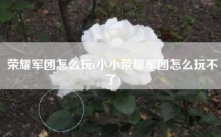 荣耀军团怎么玩(小小荣耀军团怎么玩不了)