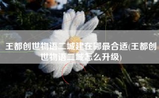 王都创世物语二城建在哪最合适(王都创世物语二城怎么升级)