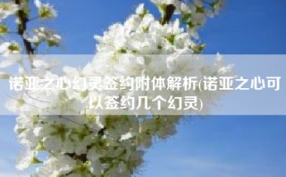 诺亚之心幻灵签约附体解析(诺亚之心可以签约几个幻灵)