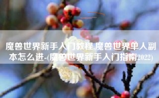 魔兽世界新手入门教程,魔兽世界单人副本怎么进-(魔兽世界新手入门指南2022)