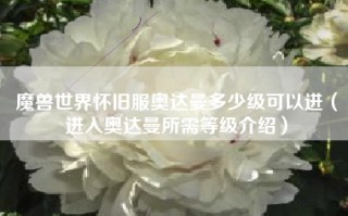 魔兽世界怀旧服奥达曼多少级可以进（进入奥达曼所需等级介绍）
