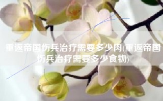 重返帝国伤兵治疗需要多少肉(重返帝国伤兵治疗需要多少食物)