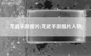 龙武手游图片(龙武手游图片人物)