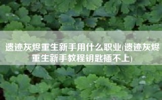遗迹灰烬重生新手用什么职业(遗迹灰烬重生新手教程钥匙插不上)