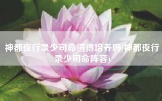 神都夜行录少司命值得培养吗(神都夜行录少司命阵容)