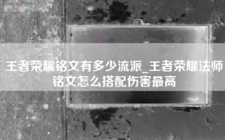王者荣耀铭文有多少流派_王者荣耀法师铭文怎么搭配伤害最高