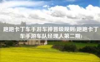跑跑卡丁车手游车神晋级规则(跑跑卡丁车手游车队经理人第二期)