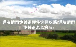 道友请留步装备硬件选择攻略(道友请留步装备怎么合成)