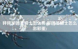 砰砰军团圣骑士怎么样(军团圣骑士怎么出彩蛋)