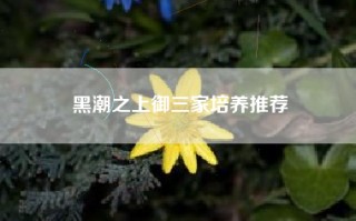 黑潮之上御三家培养推荐