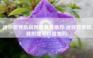 迷你世界防具附魔属性推荐(迷你世界防具附魔可以叠加吗)