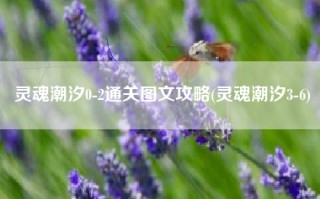灵魂潮汐0-2通关图文攻略(灵魂潮汐3-6)