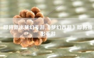 即将新出梦幻手游,《梦幻西游》即将推出手游