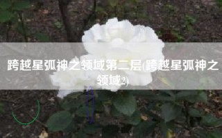 跨越星弧神之领域第二层(跨越星弧神之领域2)