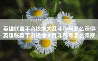 英雄联盟手游极地大乱斗称号怎么获得(英雄联盟手游极地大乱斗称号怎么佩戴)