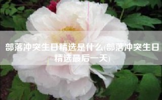 部落冲突生日精选是什么(部落冲突生日精选最后一天)