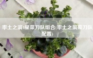 率土之滨4星菜刀队组合(率土之滨菜刀队配置)